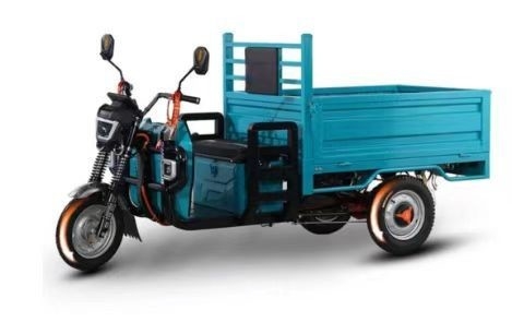 Le tricycle électrique de puissance est parfait pour vos besoins de transport de marchandises