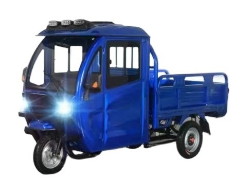 Tricycles électriques pour le fret à vitesse maximale de 50 à 70 km/h et fonction convertible