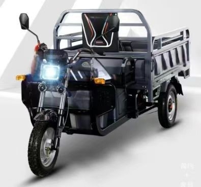 Tricycles électriques pour le fret à vitesse maximale de 50 à 70 km/h et fonction convertible