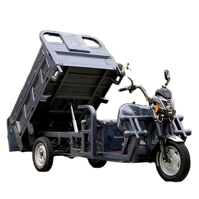 60V100Ah batterie au lithium-ion multi-fonctionnel tricycle électrique pour adultes 801-1000W