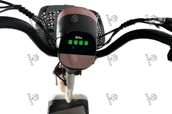 Exemple de vélo électrique de ville vélo scooter électrique vélo avec le matériel le plus bas et le cadre en acier