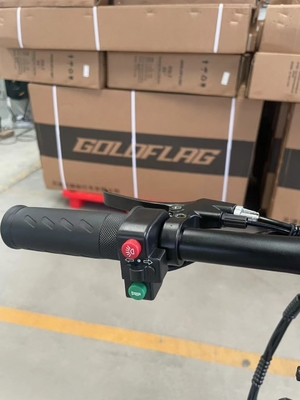 Vélo électrique pliable à deux roues avec pédale et autonomie électrique 60 km par puissance Temps de charge 3 heures