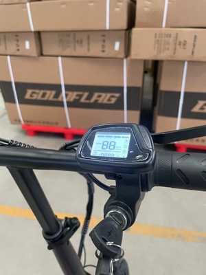 Vélo électrique pliable à deux roues avec pédale et autonomie électrique 60 km par puissance Temps de charge 3 heures