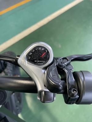 20 pouces de pneus tout terrain conduite électrique avec une tension de 48V et un couple de batterie de 13Ah 50-60 Nm