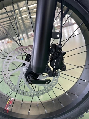 20 pouces de pneus tout terrain conduite électrique avec une tension de 48V et un couple de batterie de 13Ah 50-60 Nm