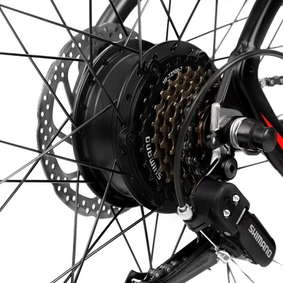 Véhicule à moteur électrique à chaîne de pédales de 800W pour les aventures de montagne Vitesse maximale 30-50Km / h Position de la batterie Batterie intégrée