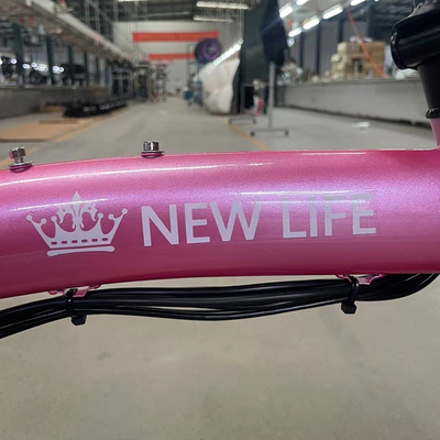10.5 AH Capacité de la batterie Hub arrière moteur scooter électrique pour hommes et femmes génération Drive pliable