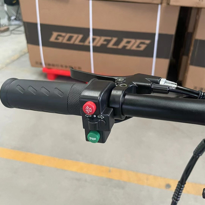 18 vitesses et capacité de la batterie de 13,4 Ah Transport urbain Vélos électriques pour des déplacements pratiques en ville