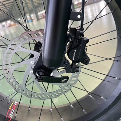 2024 Vélo électrique avec cadre en alliage d'aluminium et batterie au lithium de longue durée