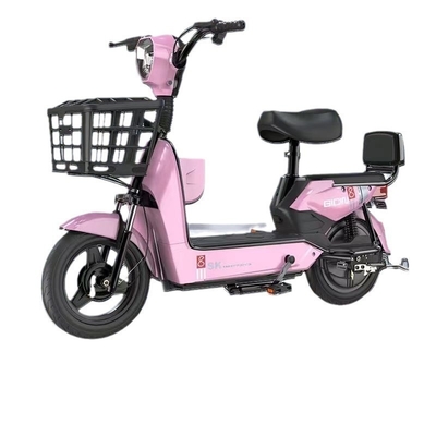 009 48V Green Electric City Bike 3 heures de charge