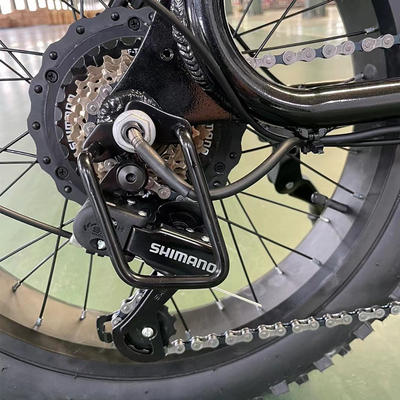 Vélo électrique avec moteur à moyeu arrière et batterie au lithium à 18 vitesses