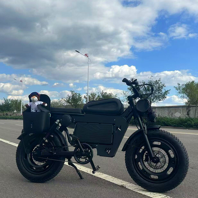 Scooter à vélo électrique à roues de 20 pouces avec batterie au lithium de longue durée de 1000 kW