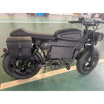 Scooter à vélo électrique à roues de 20 pouces avec batterie au lithium de longue durée de 1000 kW