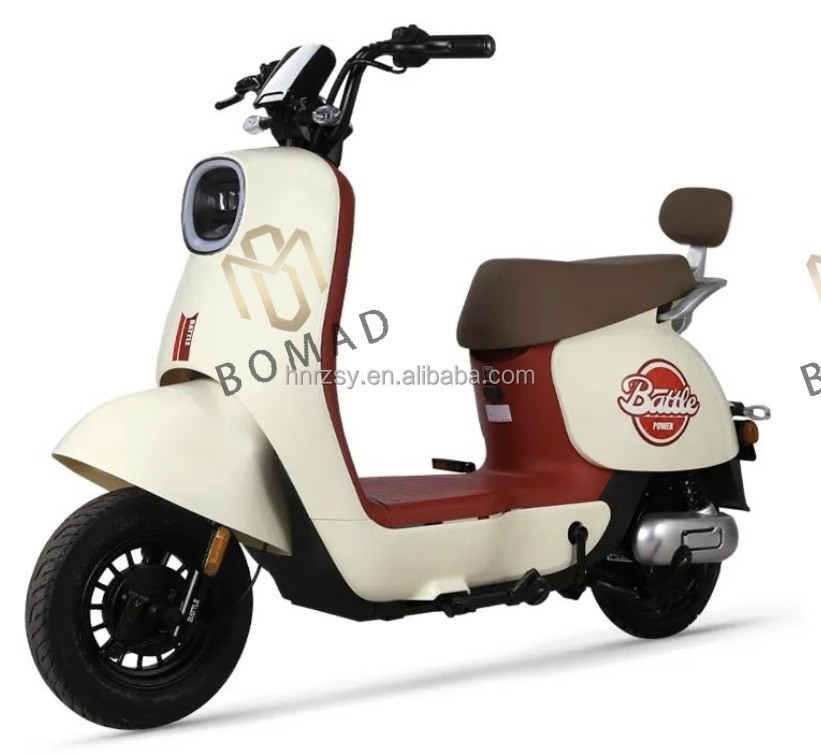 Bicycle électrique pour adultes 48v 350w Bicycle électrique avec position de la batterie du tube vers le bas et batterie au plomb-acide