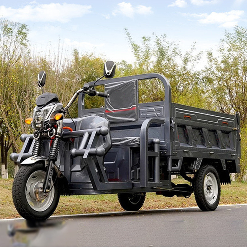 2 tricycles électriques de transport de passagers avec boîte de chargement 60V 1000W moteur CC et performance