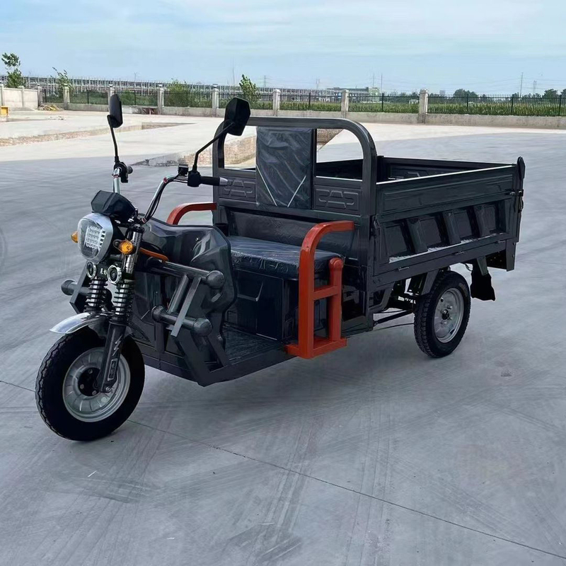 801-1000W Tricycle Electric 3 roues scooter électrique pour adultes contrôlé par un contrôleur de type tube