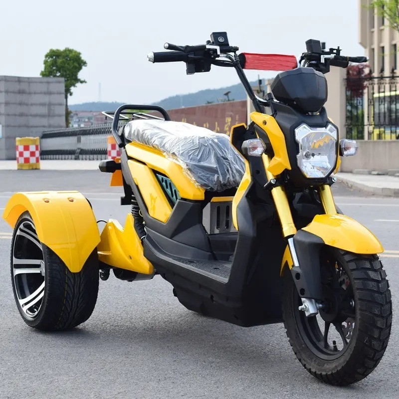 Tout type de tube électrique ouvert 48v/60v Vélo tricycle moto moto tricycle fret et tricycle pour 2 passagers