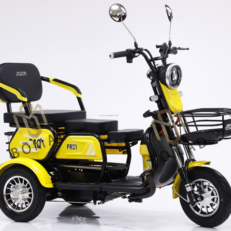 Tricycles électriques pour adultes poids de 200 à 300 kg kilométrage de 70 à 90 km