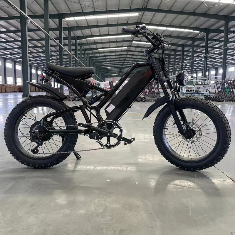 Vélos de sport récréatifs 2024 48V Vélos électriques tout-terrain de montagne avec et temps de charge 3 heures