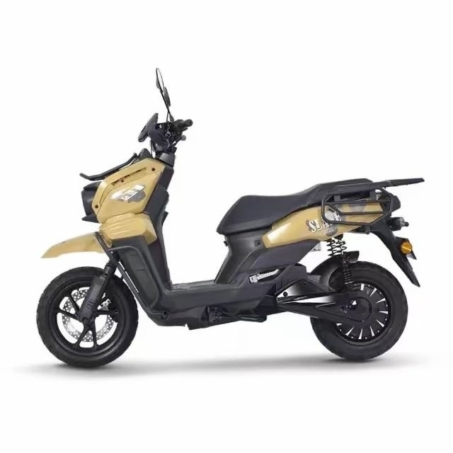 Une voiture électrique d'endurance de 1000W avec une tension de 48V et une vitesse maximale de 40 à 60 km/h à prix abordable