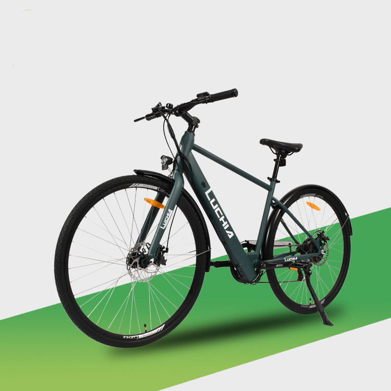 Vélo électrique de ville 48v/36v Vélo électrique avec moteur 250W/350W/500W/750W/1000W