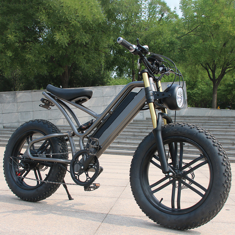 Fatbike E-Bike 500w 750w V20 moteur de vélo électrique avec batterie au lithium 15AH